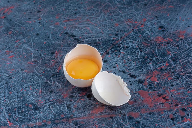 Egg Yolk